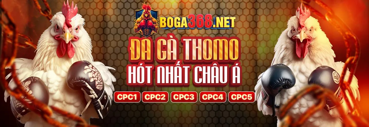 Sân vận động thể thao sôi động với đá gà tre trực tiếp Thomo và các môn cá cược khác