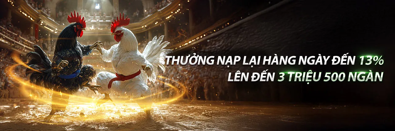 Hình ảnh đá gà tre trực tiếp thomo 2026 với các chiến kê dũng mãnh